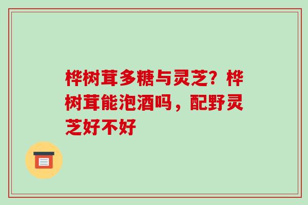 桦树茸多糖与灵芝?桦树茸能泡酒吗,配野灵芝好不好 桦树茸多糖与灵芝?桦树茸能泡酒吗,配野灵芝好不好