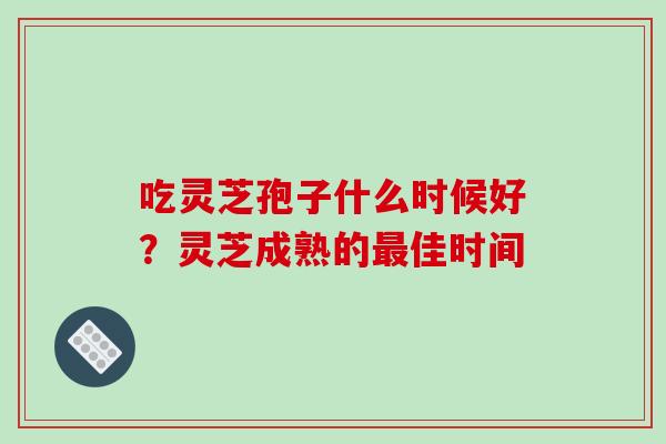 吃灵芝孢子什么时候好?灵芝成熟的佳时间 吃灵芝孢子什么时候好?灵芝成熟的佳时间