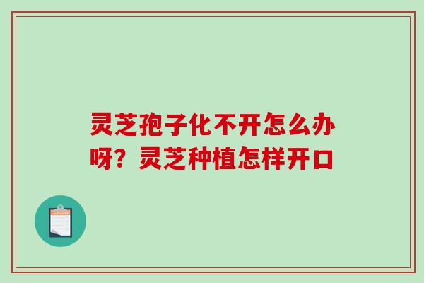 灵芝孢子化不开怎么办呀?灵芝种植怎样开口 灵芝孢子化不开怎么办呀?灵芝种植怎样开口