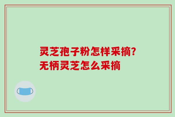 灵芝孢子粉怎样采摘?无柄灵芝怎么采摘 灵芝孢子粉怎样采摘?无柄灵芝怎么采摘