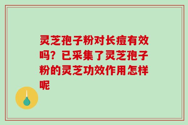 灵芝孢子粉对长痘有效吗?已采集了灵芝孢子粉的灵芝功效作用怎样呢 灵芝孢子粉对长痘有效吗?已采集了灵芝孢子粉的灵芝功效作用怎样呢