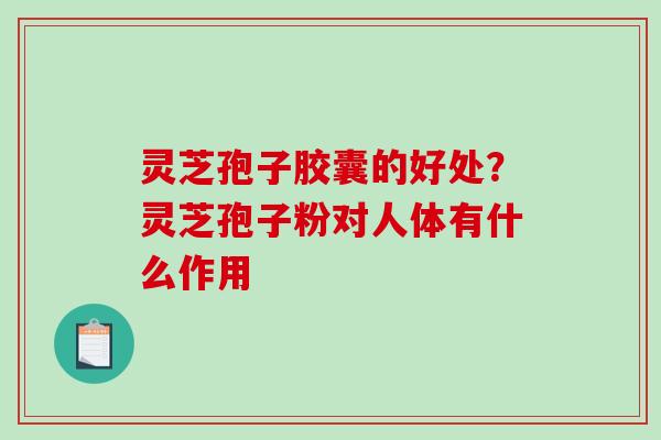 灵芝孢子胶囊的好处?灵芝孢子粉对人体有什么作用 灵芝孢子胶囊的好处?灵芝孢子粉对人体有什么作用