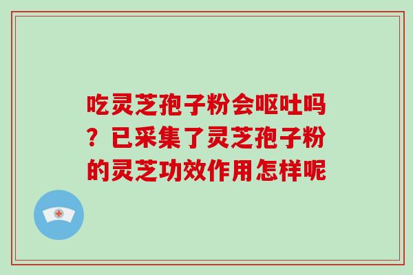 吃灵芝孢子粉会吗？已采集了灵芝孢子粉的灵芝功效作用怎样呢