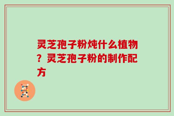 灵芝孢子粉炖什么植物?灵芝孢子粉的制作配方 灵芝孢子粉炖什么植物?灵芝孢子粉的制作配方