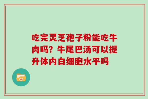 吃完灵芝孢子粉能吃牛肉吗?牛尾巴汤可以提升体内水平吗 吃完灵芝孢子粉能吃牛肉吗?牛尾巴汤可以提升体内水平吗
