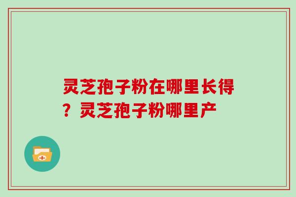 灵芝孢子粉在哪里长得?灵芝孢子粉哪里产 灵芝孢子粉在哪里长得?灵芝孢子粉哪里产