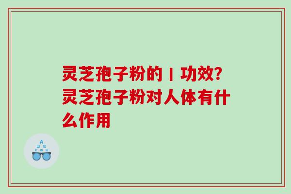 灵芝孢子粉的丨功效?灵芝孢子粉对人体有什么作用 灵芝孢子粉的丨功效?灵芝孢子粉对人体有什么作用
