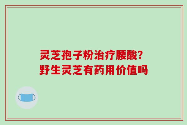 灵芝孢子粉腰酸?野生灵芝有药用价值吗 灵芝孢子粉腰酸?野生灵芝有药用价值吗