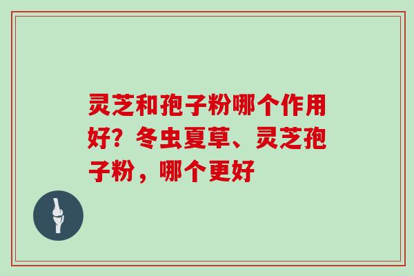 灵芝和孢子粉哪个作用好?冬虫夏草、灵芝孢子粉,哪个更好 灵芝和孢子粉哪个作用好?冬虫夏草、灵芝孢子粉,哪个更好