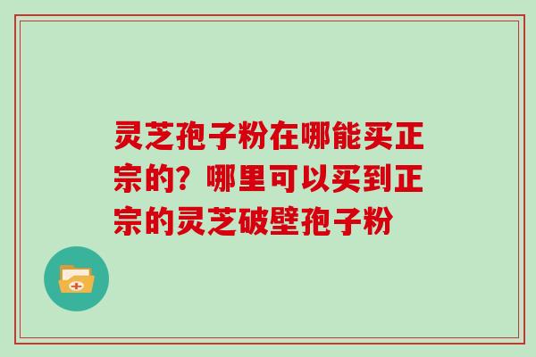 灵芝孢子粉在哪能买正宗的?哪里可以买到正宗的灵芝破壁孢子粉 灵芝孢子粉在哪能买正宗的?哪里可以买到正宗的灵芝破壁孢子粉