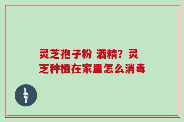 灵芝孢子粉 酒精?灵芝种植在家里怎么消毒 灵芝孢子粉 酒精?灵芝种植在家里怎么消毒