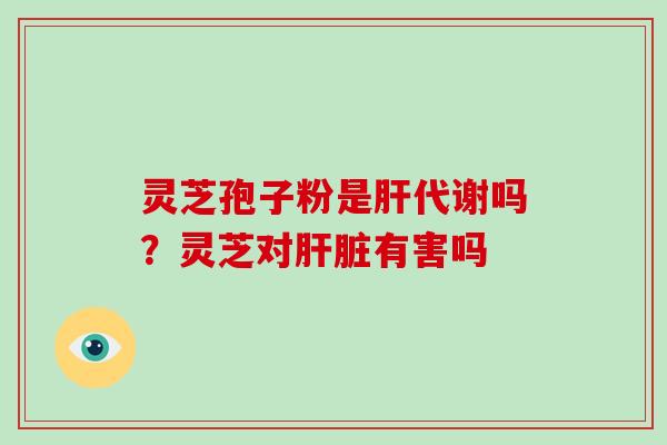 灵芝孢子粉是代谢吗?灵芝对有害吗 灵芝孢子粉是代谢吗?灵芝对有害吗