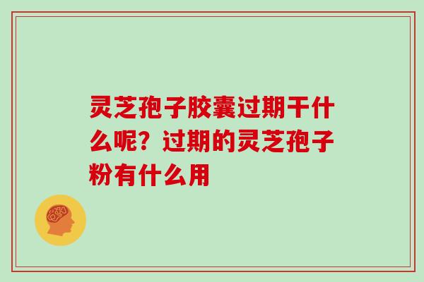 灵芝孢子胶囊过期干什么呢?过期的灵芝孢子粉有什么用 灵芝孢子胶囊过期干什么呢?过期的灵芝孢子粉有什么用