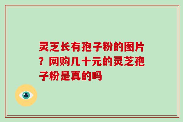 灵芝长有孢子粉的图片?网购几十元的灵芝孢子粉是真的吗 灵芝长有孢子粉的图片?网购几十元的灵芝孢子粉是真的吗
