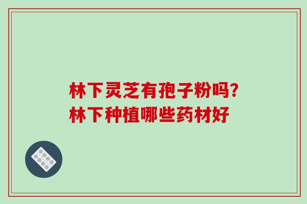 林下灵芝有孢子粉吗?林下种植哪些药材好 林下灵芝有孢子粉吗?林下种植哪些药材好