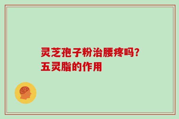 灵芝孢子粉腰疼吗？五灵脂的作用