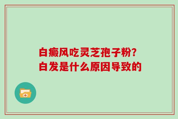 白癜风吃灵芝孢子粉?白发是什么原因导致的 白癜风吃灵芝孢子粉?白发是什么原因导致的