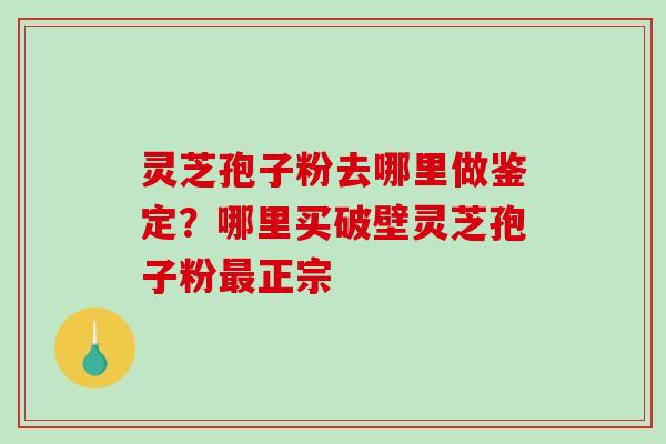 灵芝孢子粉去哪里做鉴定?哪里买破壁灵芝孢子粉正宗 灵芝孢子粉去哪里做鉴定?哪里买破壁灵芝孢子粉正宗