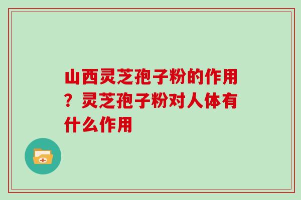 山西灵芝孢子粉的作用？灵芝孢子粉对人体有什么作用