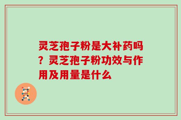 灵芝孢子粉是大补药吗?灵芝孢子粉功效与作用及用量是什么 灵芝孢子粉是大补药吗?灵芝孢子粉功效与作用及用量是什么