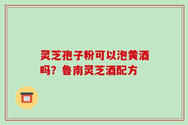 灵芝孢子粉可以泡黄酒吗？鲁南灵芝酒配方