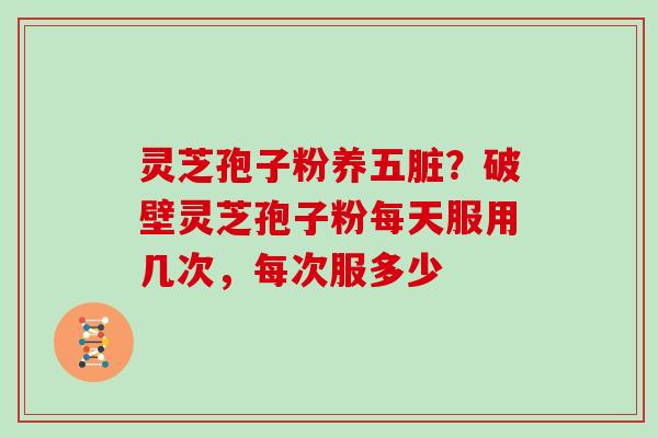 灵芝孢子粉养五脏?破壁灵芝孢子粉每天服用几次,每次服多少 灵芝孢子粉养五脏?破壁灵芝孢子粉每天服用几次,每次服多少