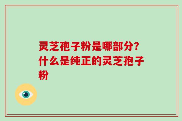 灵芝孢子粉是哪部分?什么是纯正的灵芝孢子粉 灵芝孢子粉是哪部分?什么是纯正的灵芝孢子粉