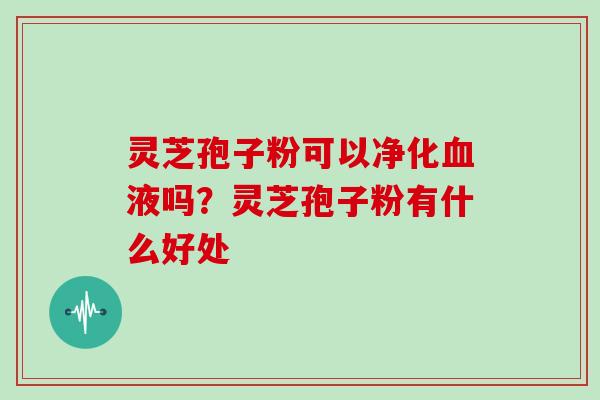 灵芝孢子粉可以净化液吗?灵芝孢子粉有什么好处 灵芝孢子粉可以净化液吗?灵芝孢子粉有什么好处