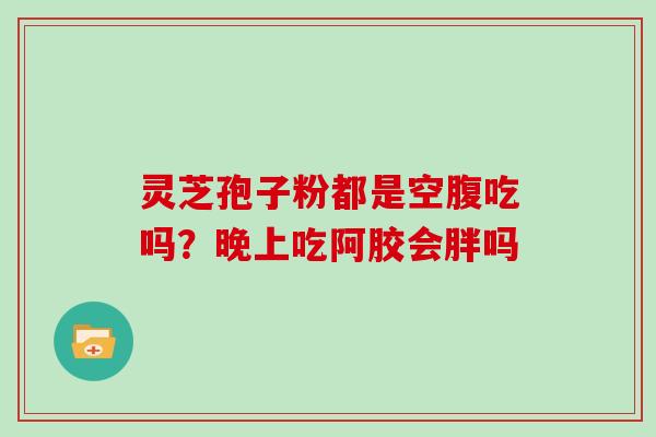 灵芝孢子粉都是空腹吃吗?晚上吃阿胶会胖吗 灵芝孢子粉都是空腹吃吗?晚上吃阿胶会胖吗