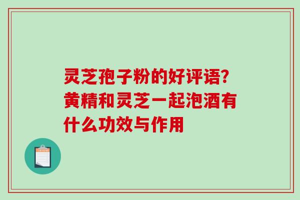灵芝孢子粉的好评语？黄精和灵芝一起泡酒有什么功效与作用