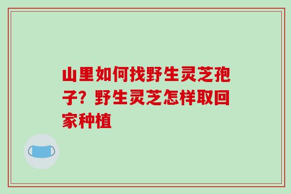 山里如何找野生灵芝孢子?野生灵芝怎样取回家种植 山里如何找野生灵芝孢子?野生灵芝怎样取回家种植