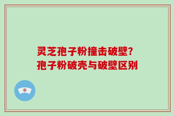灵芝孢子粉撞击破壁?孢子粉破壳与破壁区别 灵芝孢子粉撞击破壁?孢子粉破壳与破壁区别