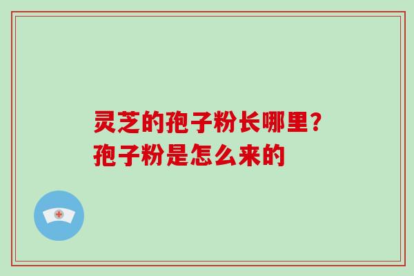 灵芝的孢子粉长哪里?孢子粉是怎么来的 灵芝的孢子粉长哪里?孢子粉是怎么来的