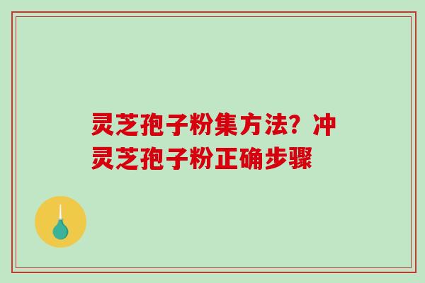 灵芝孢子粉集方法?冲灵芝孢子粉正确步骤 灵芝孢子粉集方法?冲灵芝孢子粉正确步骤