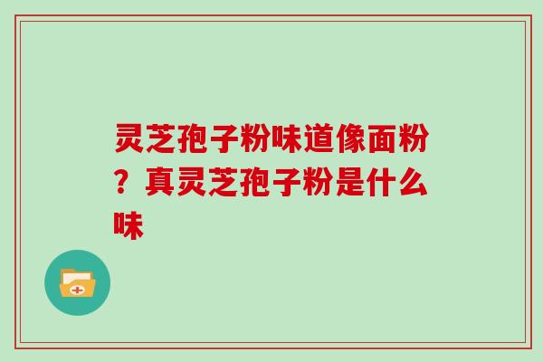 灵芝孢子粉味道像面粉？真灵芝孢子粉是什么味