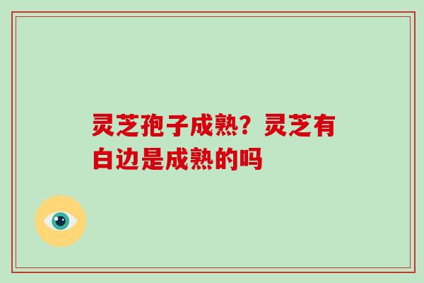 灵芝孢子成熟?灵芝有白边是成熟的吗 灵芝孢子成熟?灵芝有白边是成熟的吗