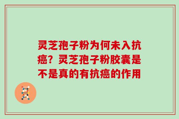 灵芝孢子粉为何未入抗?灵芝孢子粉胶囊是不是真的有抗的作用 灵芝孢子粉为何未入抗?灵芝孢子粉胶囊是不是真的有抗的作用