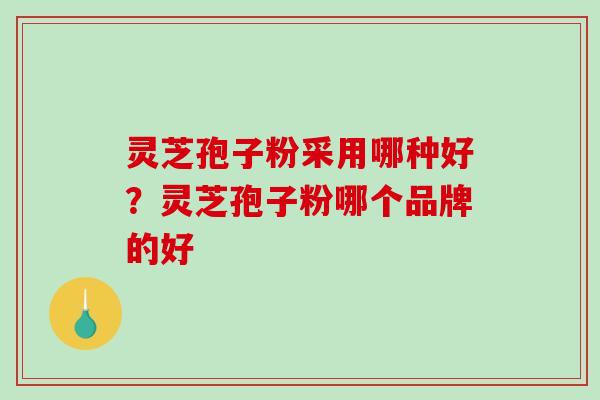 灵芝孢子粉采用哪种好?灵芝孢子粉哪个品牌的好 灵芝孢子粉采用哪种好?灵芝孢子粉哪个品牌的好