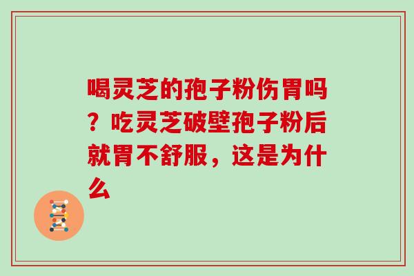 喝灵芝的孢子粉伤胃吗?吃灵芝破壁孢子粉后就胃不舒服,这是为什么 喝灵芝的孢子粉伤胃吗?吃灵芝破壁孢子粉后就胃不舒服,这是为什么