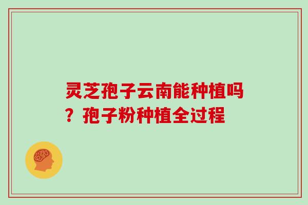 灵芝孢子云南能种植吗?孢子粉种植全过程 灵芝孢子云南能种植吗?孢子粉种植全过程