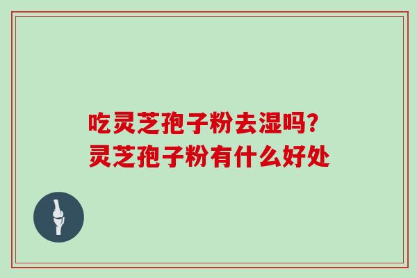 吃灵芝孢子粉去湿吗?灵芝孢子粉有什么好处 吃灵芝孢子粉去湿吗?灵芝孢子粉有什么好处