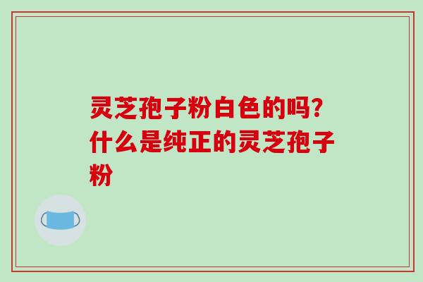 灵芝孢子粉白色的吗？什么是纯正的灵芝孢子粉