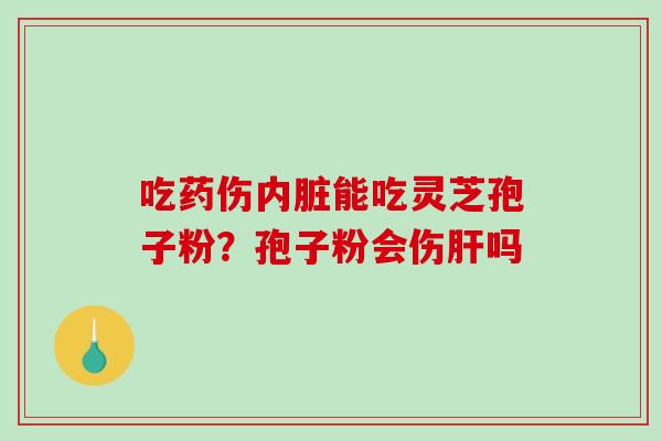 吃药伤内脏能吃灵芝孢子粉？孢子粉会伤吗