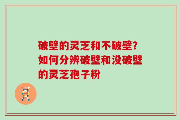 破壁的灵芝和不破壁?如何分辨破壁和没破壁的灵芝孢子粉 破壁的灵芝和不破壁?如何分辨破壁和没破壁的灵芝孢子粉