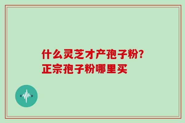 什么灵芝才产孢子粉？正宗孢子粉哪里买