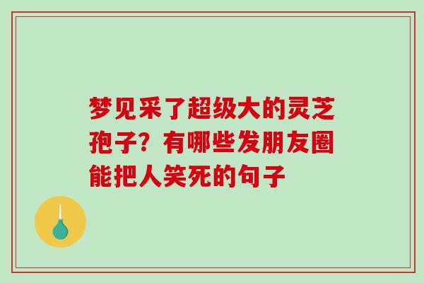 梦见采了超级大的灵芝孢子?有哪些发朋友圈能把人笑死的句子 梦见采了超级大的灵芝孢子?有哪些发朋友圈能把人笑死的句子