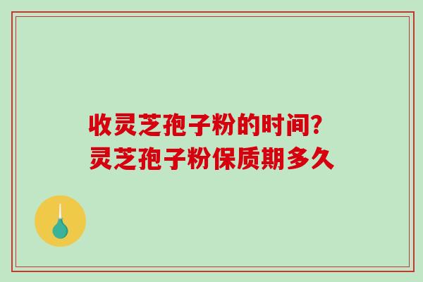 收灵芝孢子粉的时间？灵芝孢子粉保质期多久