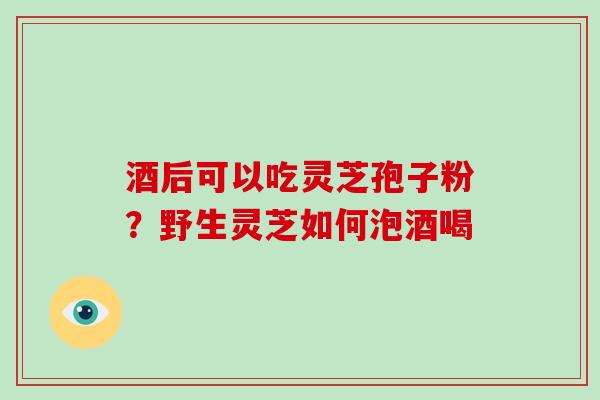 酒后可以吃灵芝孢子粉?野生灵芝如何泡酒喝 酒后可以吃灵芝孢子粉?野生灵芝如何泡酒喝