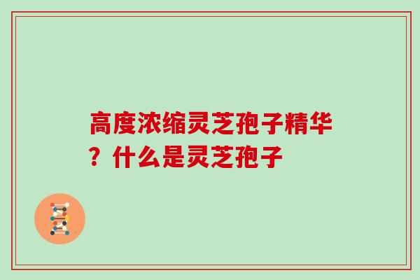 高度浓缩灵芝孢子精华?什么是灵芝孢子 高度浓缩灵芝孢子精华?什么是灵芝孢子