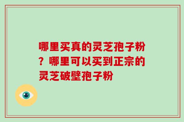 哪里买真的灵芝孢子粉?哪里可以买到正宗的灵芝破壁孢子粉 哪里买真的灵芝孢子粉?哪里可以买到正宗的灵芝破壁孢子粉